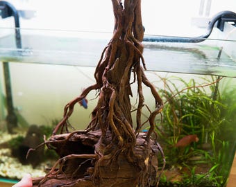アクアスケープ盆栽流木水槽樹木植物アクアスケープセンターピース流木