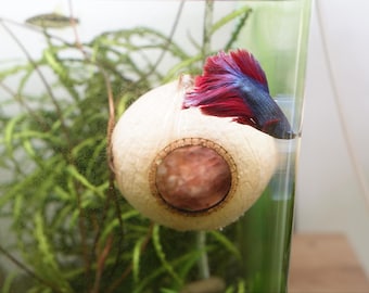 Natural Coconut Shell Betta Fish Hideout - Aquarium Decor