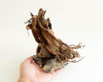 Bonsai Driftwood Tree - Natural Aquarium Aquascape | Betta Fish Hideout | Plant Anchor