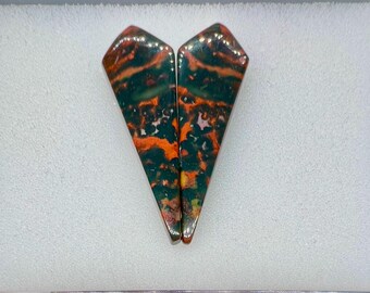 Coppia di cabochon di eliotropio di alta qualità dalla forma particolare, ideali per la creazione di gioielli.