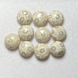May include: A collection of ten round, cabochon-cut fossil coral gemstones. Each stone features a creamy beige base color with intricate, star-like grey floral patterns throughout the surface. The stones have a smooth, polished finish.