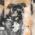 custom pet art, pet portraits, custom pet gift, dog painting, cat lovers gift, custom pet portrait, pet loss gifts, cute dog drawing custom product logo