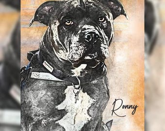 custom pet art, pet portraits, custom pet gift, dog painting, cat lovers gift, custom pet portrait, pet loss gifts, cute dog drawing custom