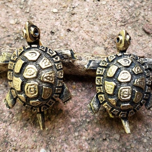 May include: Two gold-colored turtle-shaped earrings with detailed shell patterns.
