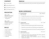 Basic Resume Template, ATS Friendly Resume, Professional CV, Editable Resume, Instant Download