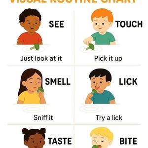 May include: A visual routine chart for picky eaters. The chart shows six steps: see, touch, smell, lick, taste, and bite. Each step is illustrated with a child and a piece of broccoli. The text is in a bold, sans-serif font.