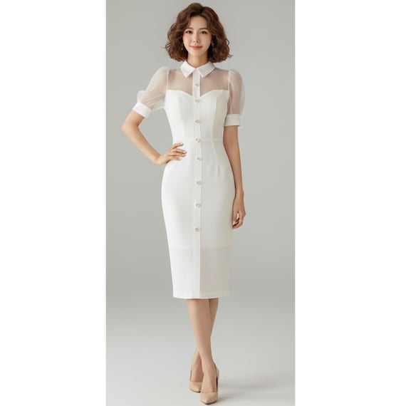 sachin and babi light blue dress Adam Lippes Embroidered Cotton Poplin Midi Dress in White — UFO No More main image 0