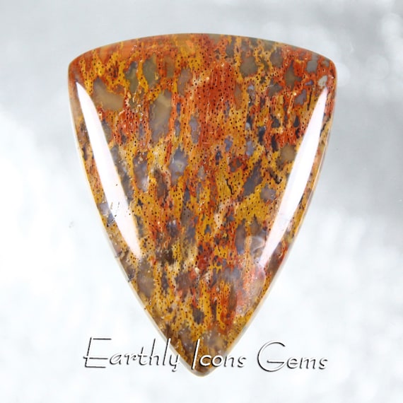 Petrified Pocket Rot Wood Designer Cut Cabochon, Designer Cabochons
