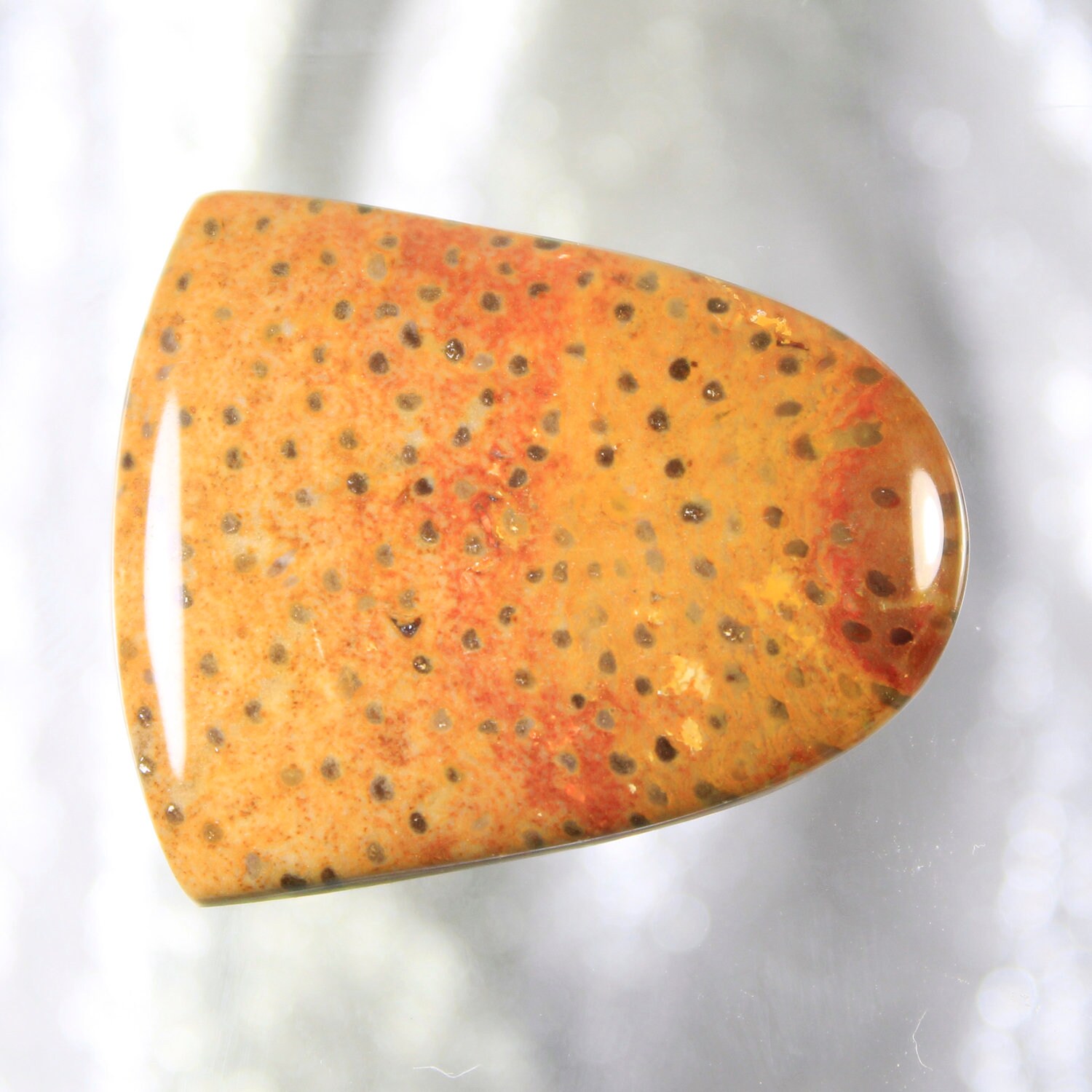 Petrified Palm Wood Designer Cut Cabochon, Designer Cabochons