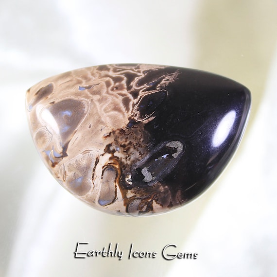 Petrified Indonesian Birdseye Palm Root Designer Cut Cabochon, Designer Cabochons