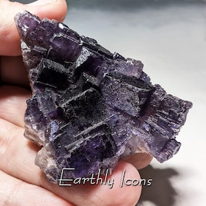 Fluorite from Tule Mine, Mexico; Mexican Fluorite; Purple Fluorite; Fluorite Crytstal; Collector Mineral