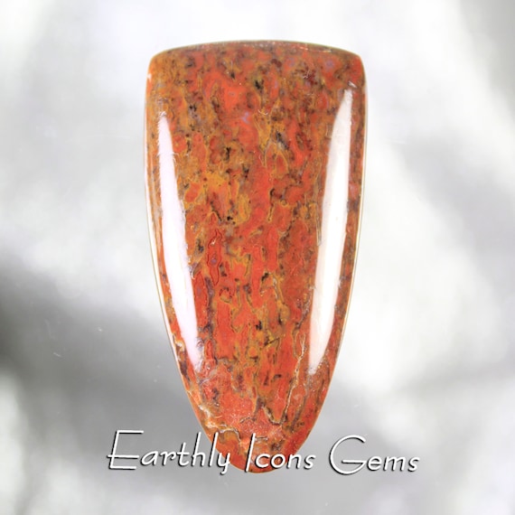 Red and Orange Fossilized Dinosaur Bone Designer Cut Cabochon, Designer Cabochons