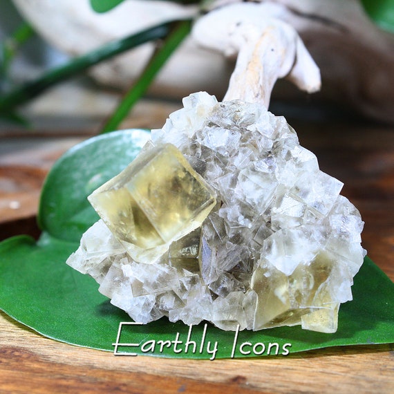 Fluorite Crystals from Bull Vein, Lady Annabella Mine, England; Yellow Fluorite; English Fluorite; Fluorite Specimen; Raw Flourite Crystals