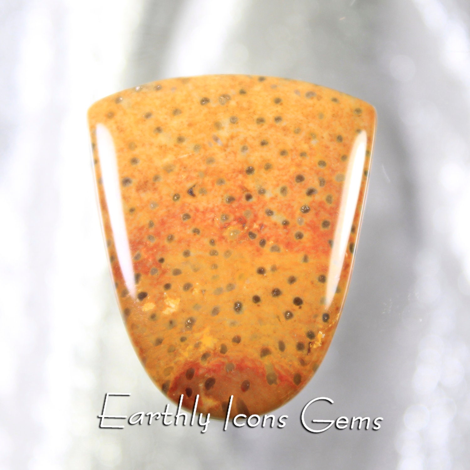 Petrified Palm Wood Designer Cut Cabochon, Designer Cabochons