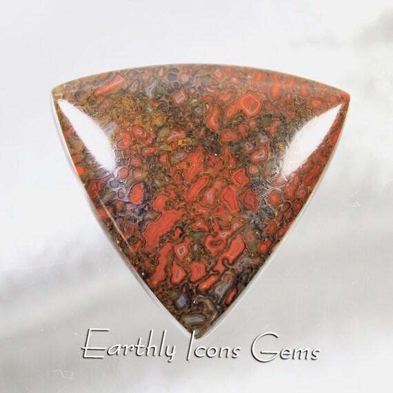 Fossilized Dinosaur Bone Designer Cut Cabochon, Designer Cabochons