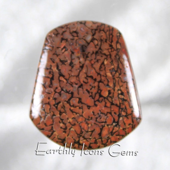 Fossilized Dinosaur Bone Designer Cut Cabochon
