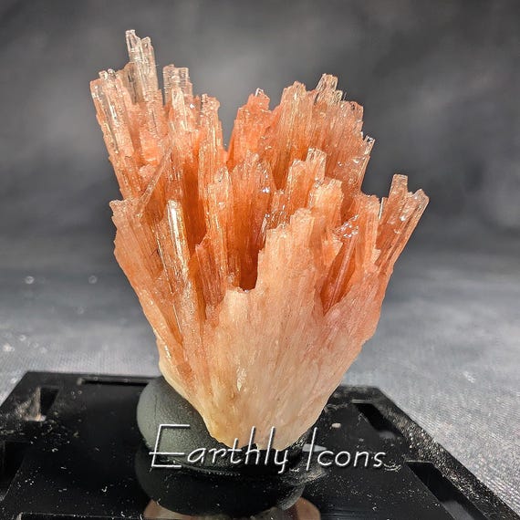 Rare Deep Pink-Orange Scolecite Spray from Nashik, India; Zeolite; Raw Pink Scolecite Mineral Specimen; Aesthetic Specimen Display