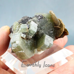 Fluorapatite with Siderite and Mica, Panasqueira Mine, Portugal; Combo Mineral Specimen Cluster