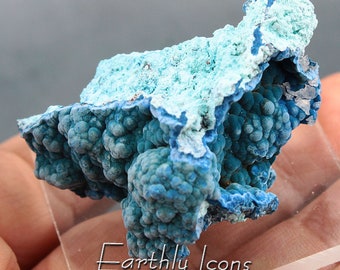 Botryoidal Shattuckite with Chrysocolla from Rancho Jacalito, Sonora, Mexico; Raw Shattuckite; Mexican Shattuckite and Chrysocolla