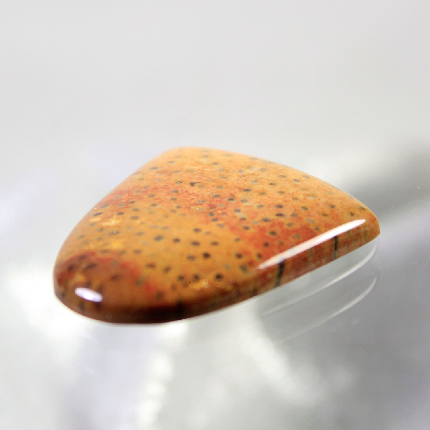 Petrified Palm Wood Designer Cut Cabochon, Designer Cabochons