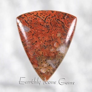 Bunte durchscheinende versteinerte Dinosaurier Knochen Designer Cabochons, Designer Cabochons