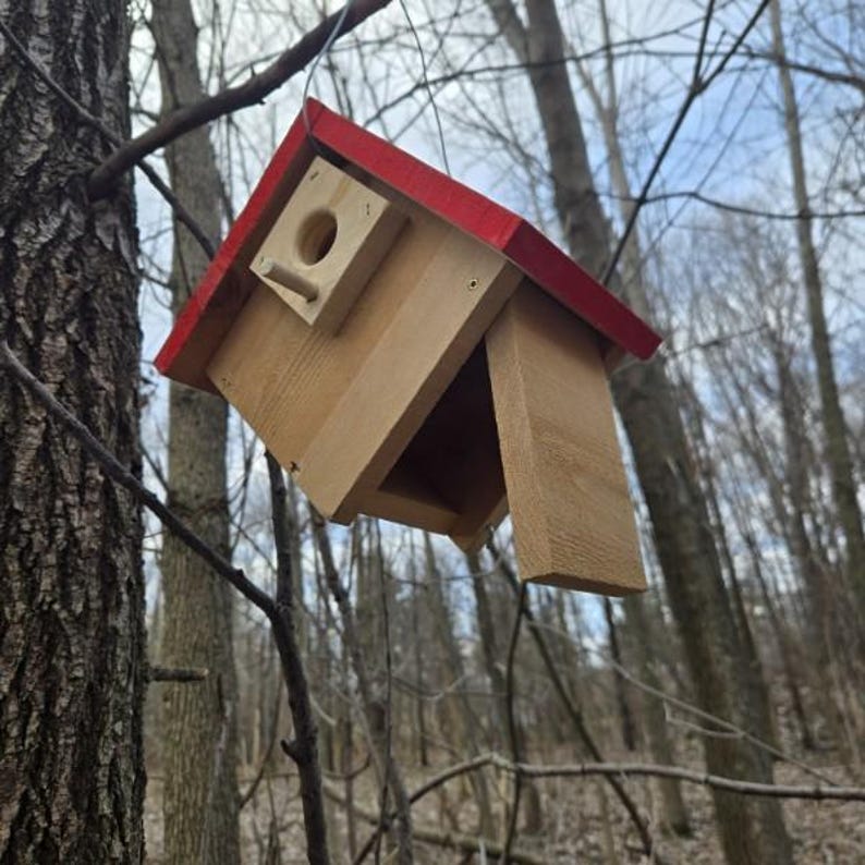 Rustic Wren Handcrafted Cedar Wren House 2 Pack – Rustic Nest Box for House Wrens ...