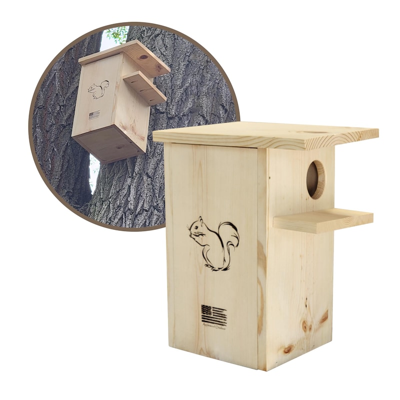 Squirrel House With Camera - Etsy