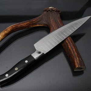 Hand Forged Damascus Stainless Steel Chef Knife | 67-Layer VG-10 Kitchen Knife | Razor Sharp Japanese Knife | Gift for Him Her Chef
