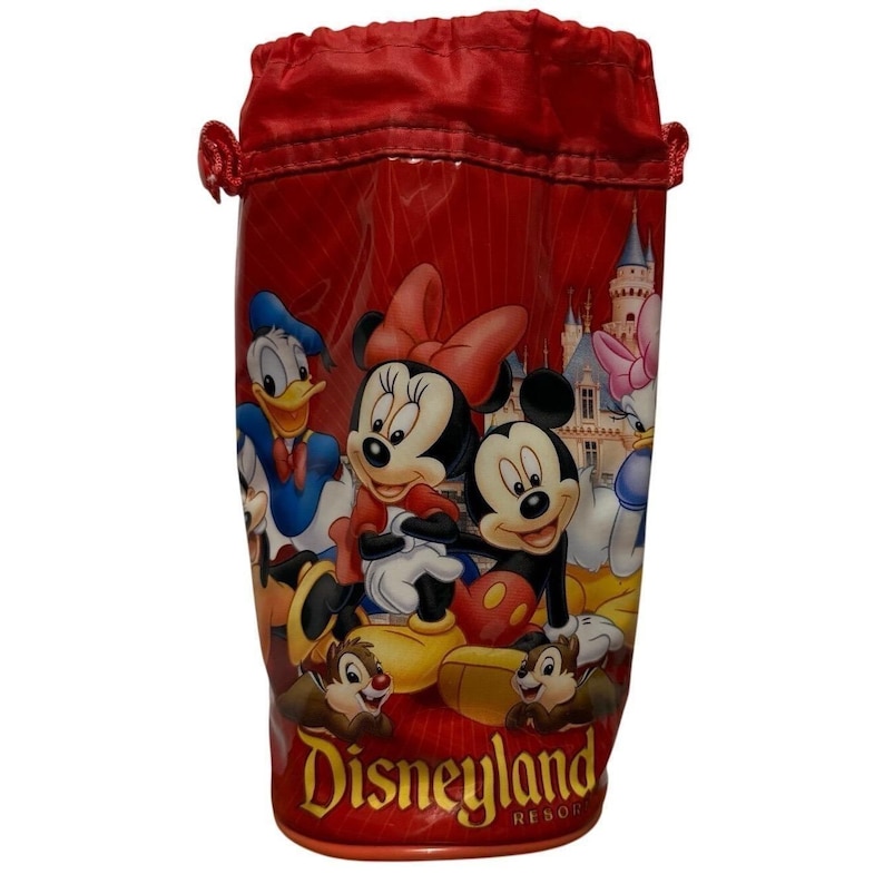 Vintage Disneyland Insulated Water Bottle Holder, Mickey Mouse & Friends Drawstring Bag, Retro Disney Resort, Theme Park Travel Accessory immagine 2