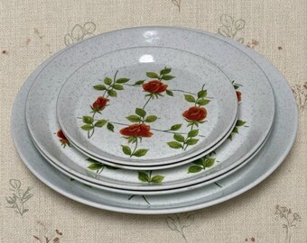 Mikasa Dinner Plates Rambling Rose  Serving Plate Vintage Floral Set of 5 Dishes