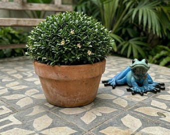 Vintage Kitty's Critters Katrina Frog Figurine, Retired 2005 Green Blue Ombre Amphibian Decor, High Gloss Kitsch Toad Y2K Colllectible