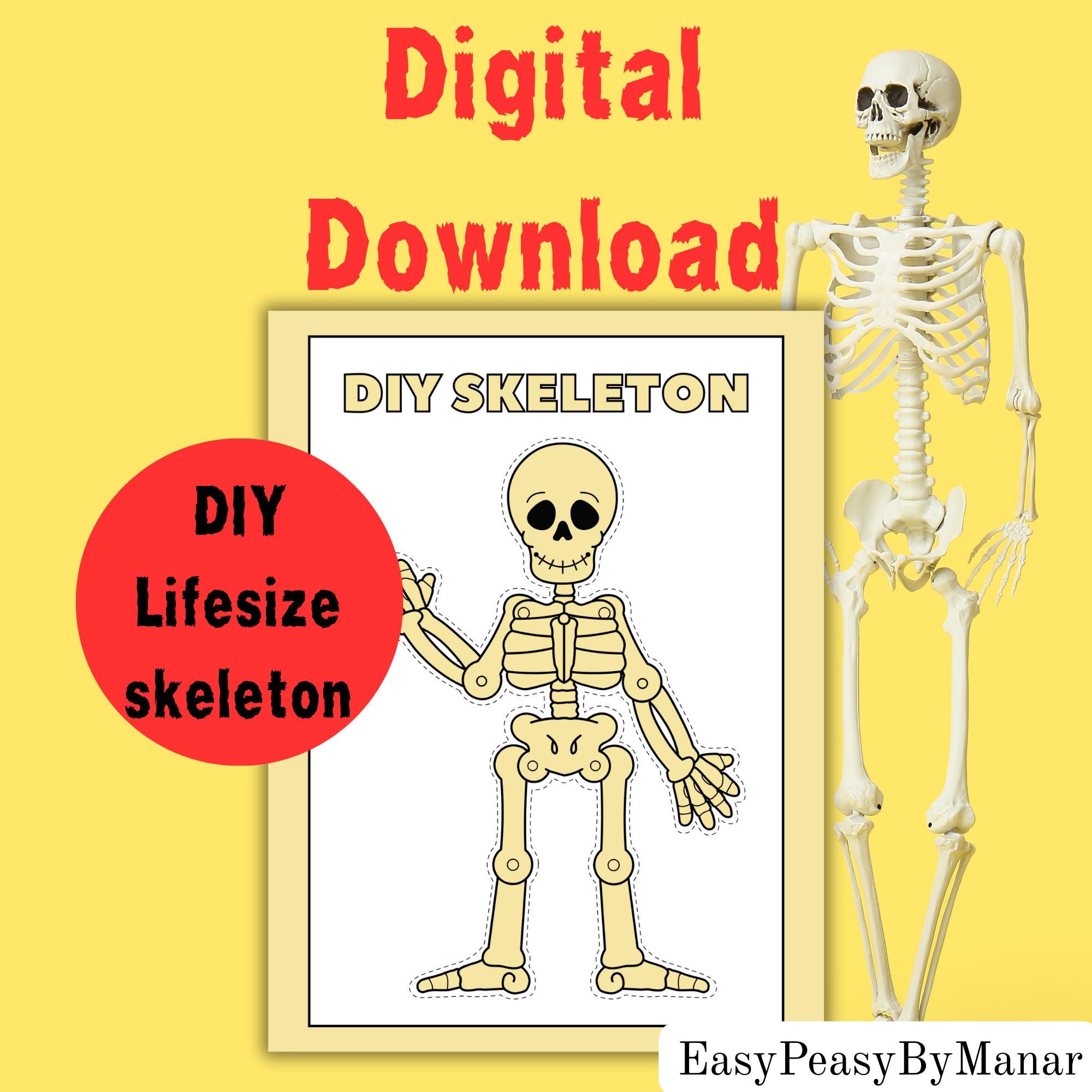 Lifesize DIY Skeleton Kit Printable: 6.75 ft Halloween Decor…