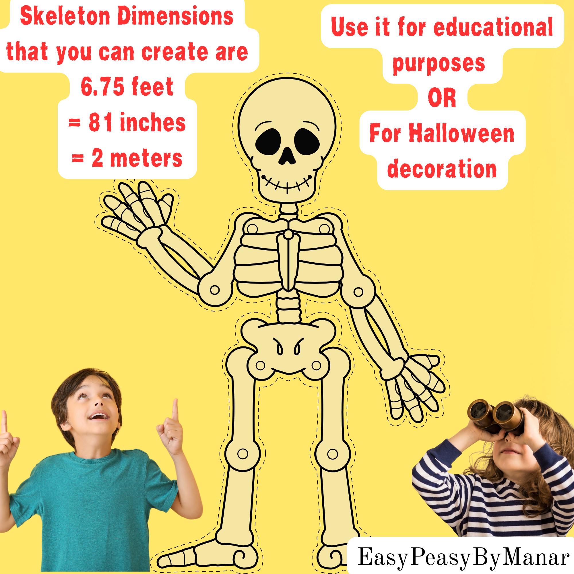 Lifesize DIY Skeleton Kit Printable: 6.75 Ft Halloween Decor (digital ...