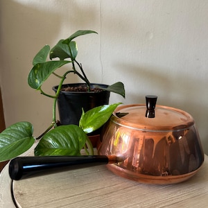 May include: A copper saucepan with a black handle and lid, reflecting the surrounding environment. The pot sits on a light-coloured, textured surface, with a potted green plant in the background.