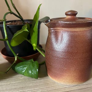 May include: A brown ceramic pitcher with a lid and handle. The pitcher has a textured surface and a spout. A green plant with large leaves is in the background, next to a black pot. The pitcher is likely used for serving beverages.