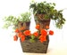 SET of 3 Wood Floral Planters 