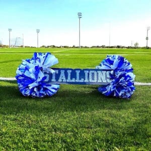 Custom Acrylic Cheer Sign, School Spirit Stick