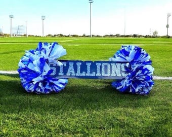 Custom Acrylic Cheer Sign, School Spirit Stick