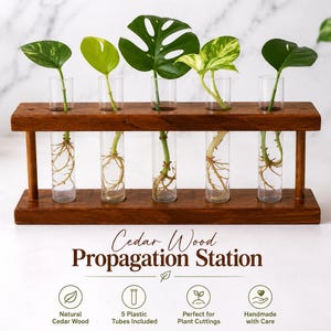Handcrafted Cedar Wood Propagation Station, 5 Tube Plant Holder, Natural Home Decor
