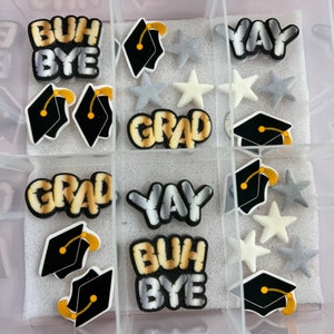 Graduation Edible Fondant Deco Set with Case / Grad sugar icing pieces cupcake toppers/ grad cap