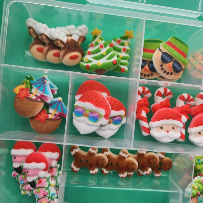 Christmas in July Edible Icing Deco Set with Case / Tropical Christmas Sugars /Royal Icing Decos / Xmas Summer Decorations / image 1