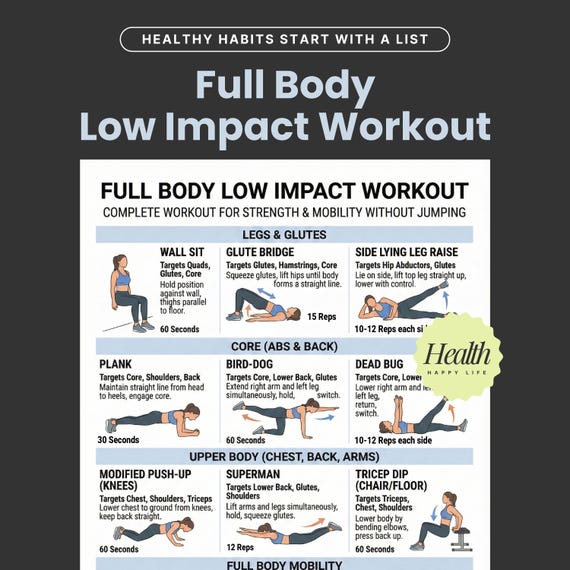 Full Body Low Impact Workout, Exercise Poster, Home Workout Program, Fitness Plan
