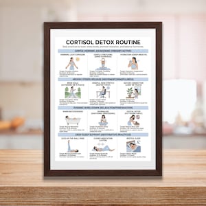 Cortisol Detox Plan, Stress Management Poster, Balanced Healing, Beginner Workout, Daily Exercises image 4