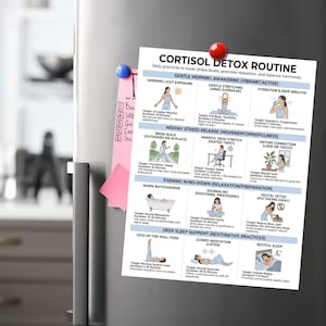 May include: A refrigerator with a printed white paper titled "CORTISOL DETOX ROUTINE" and a pink sticky note. The paper details daily practices for stress reduction, including stretching, hydration, and meditation. A red and blue magnet hold the paper.