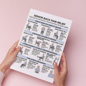 May include: A printed guide for senior back pain relief, featuring gentle exercises and stretches. The guide includes illustrations and instructions for various seated exercises, such as shoulder rolls and seated knee-to-chest stretches. The text is in black on a white background.