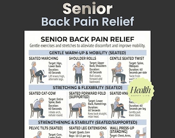 Back Pain Relief Exercises For Seniors, Senior Workout Routines, Lower Back Exercises, Home Workout Program, Chair Yoga For Seniors