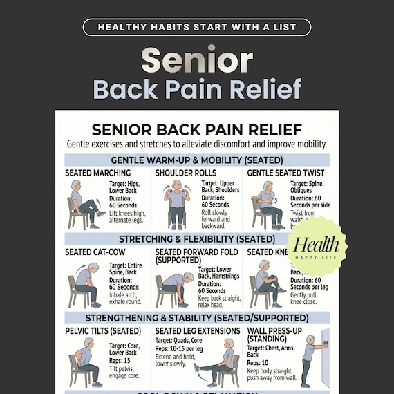 Back Pain Relief Exercises For Seniors, Senior Workout Routines, Lower Back Exercises, Home Workout Program, Chair Yoga For Seniors
