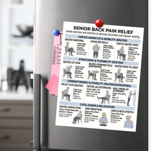 May include: A white printed magnet on a refrigerator door with exercises for senior back pain relief. The magnet includes illustrations and instructions for various stretches and exercises, such as seated marching and gentle neck stretches.