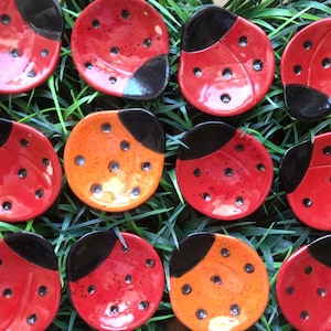 May include: Twelve ceramic ladybug-shaped dishes, six with red and black paint and six with orange and black paint. The dishes are arranged in a pattern on a bed of green grass.