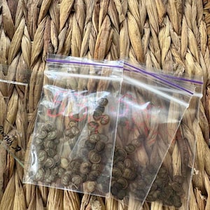 Lunaria Seeds | Silver Dollar Money Plant | DIY Dried Flowers | Lunaria Seeds (53 pcs) | Natural Garden Flowers | Rustic Decor